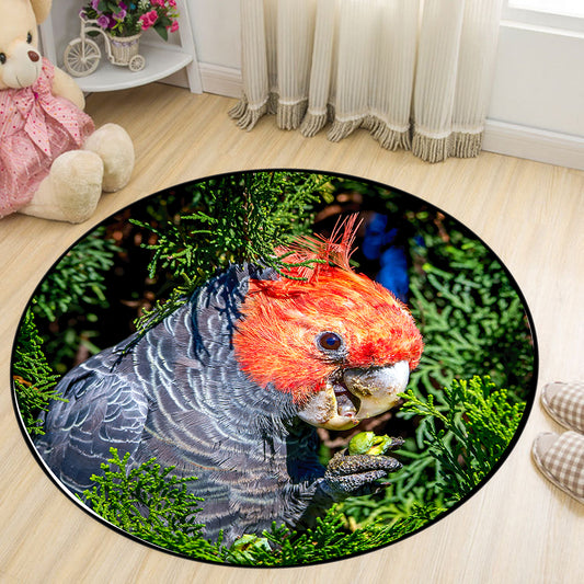 Gang Gang Parrot Round Rug