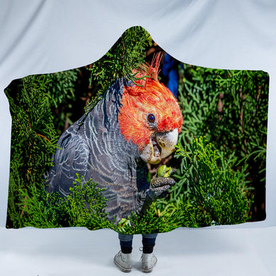 Gang Gang Parrot Hooded Blanket