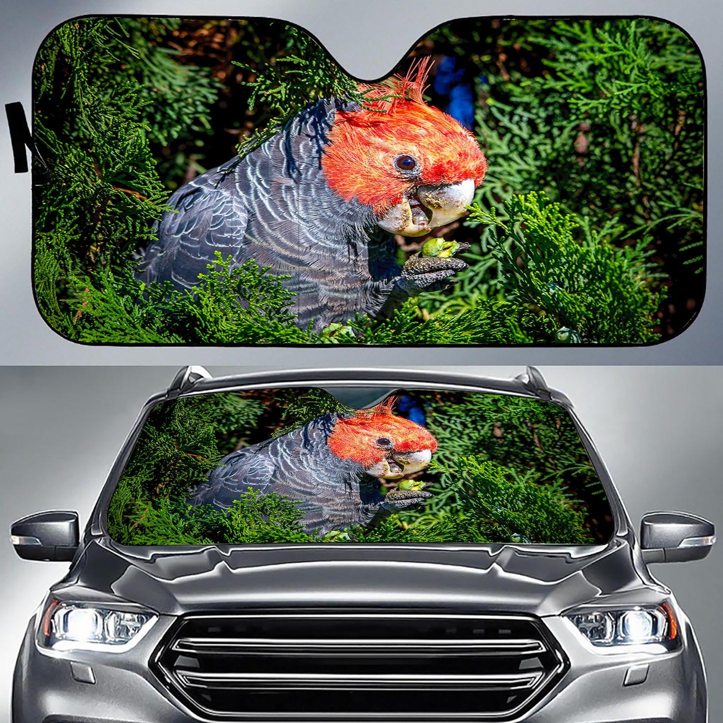 Gang Gang Parrot Windscreen Sunshade For Cars & Trucks