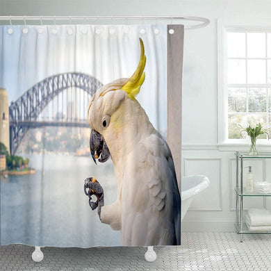 Sulphur Crested Cockatoo Shower Curtain