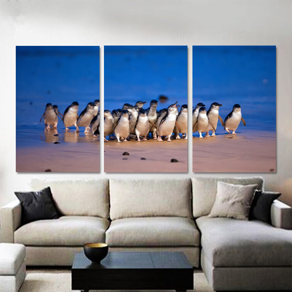 Fairy Penguins Canvas Print