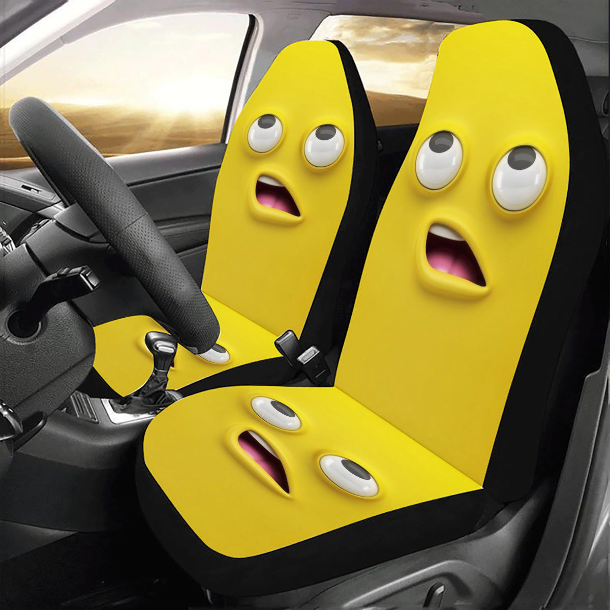 Funny Face Seat Covers