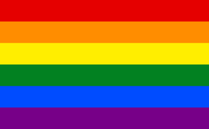 LGBTQ Pride Rainbow Pride Festival & Mardi Gras Flag, Shaft Style, 2 Grommet, 4 Grommet