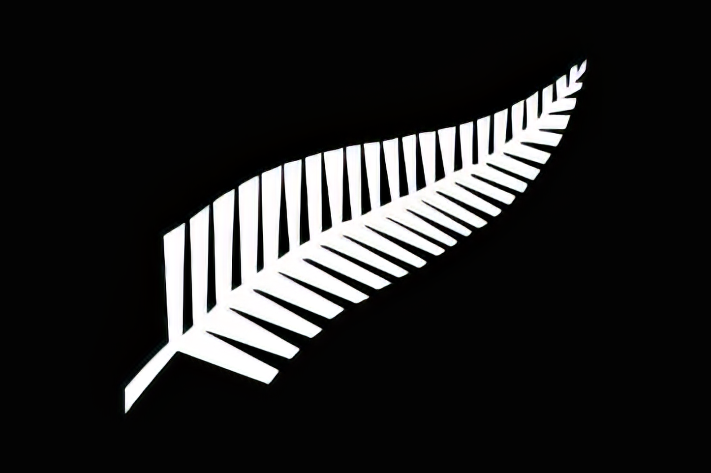 New Zealand Fern Flag