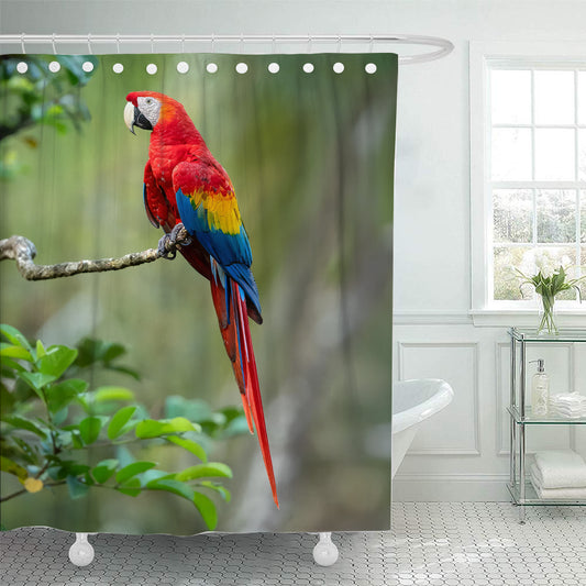 Macaw Parrot Shower Curtain