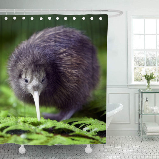 New Zealand Kiwi Flightless Bird Shower Curtain