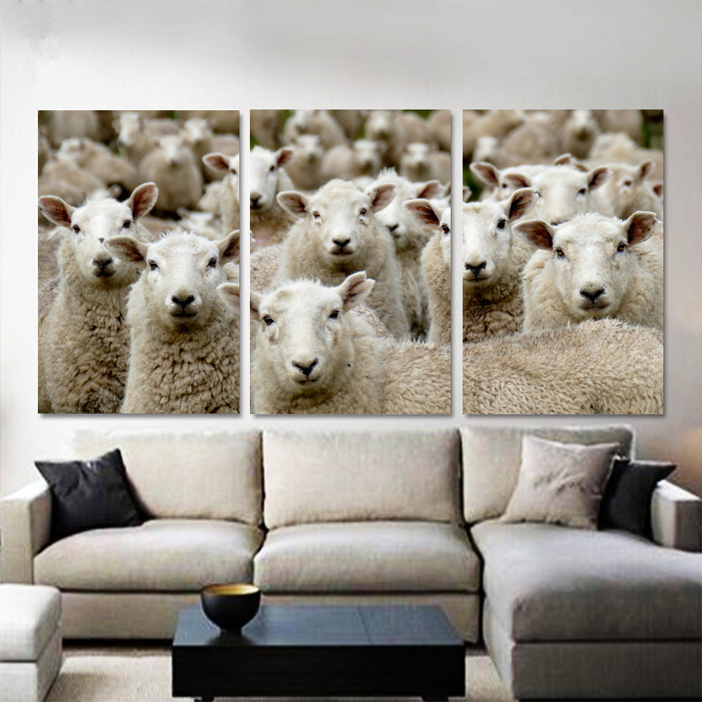 Herd of Sheep Watching