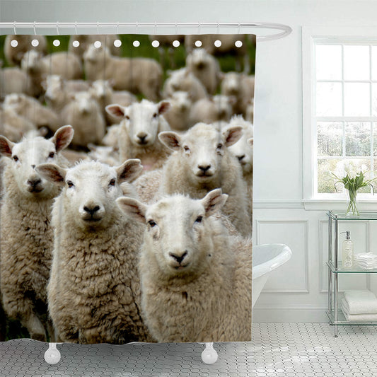 Herd of Sheep Watching Shower Curtain