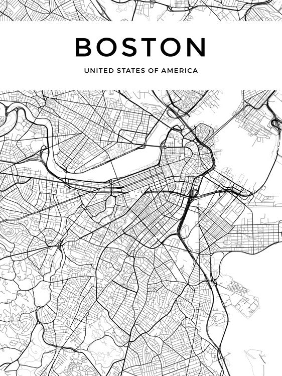 Boston City Map