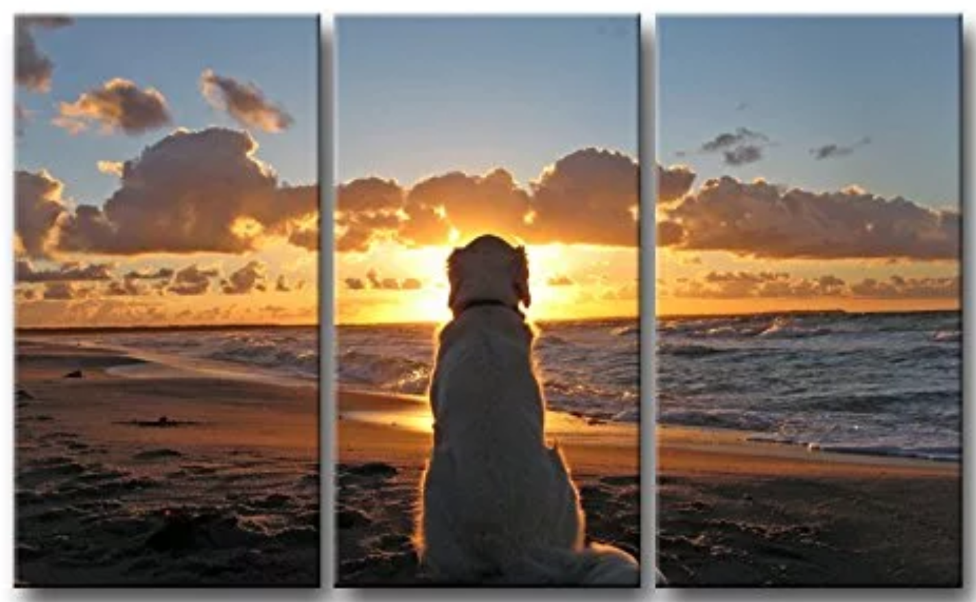 Puppy Pondering the Sunset