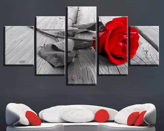 Classic B & W Red Rose