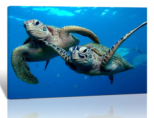 2 Turtles Having Fun