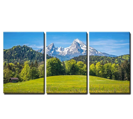 Meadows & Mountains