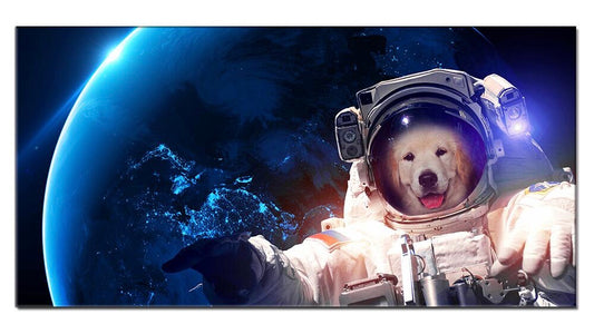 Puppy in Space