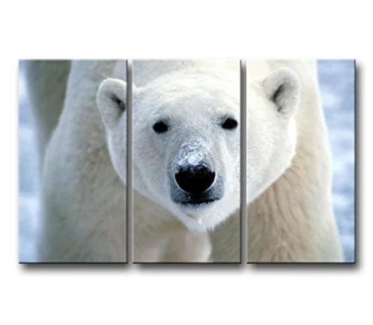 Polar Bear 2