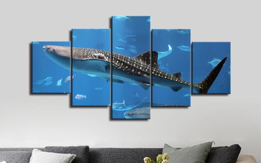 Amazing Whale Shark