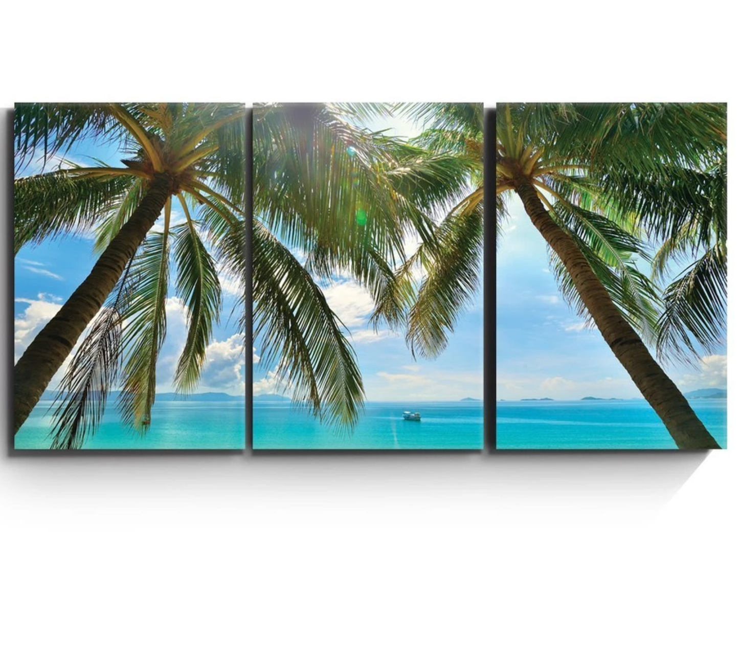 Palm Trees Shading a Tropical Beach