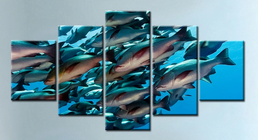 School of Fish