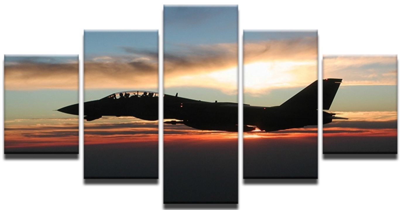 F-14 Tomcat Sunset