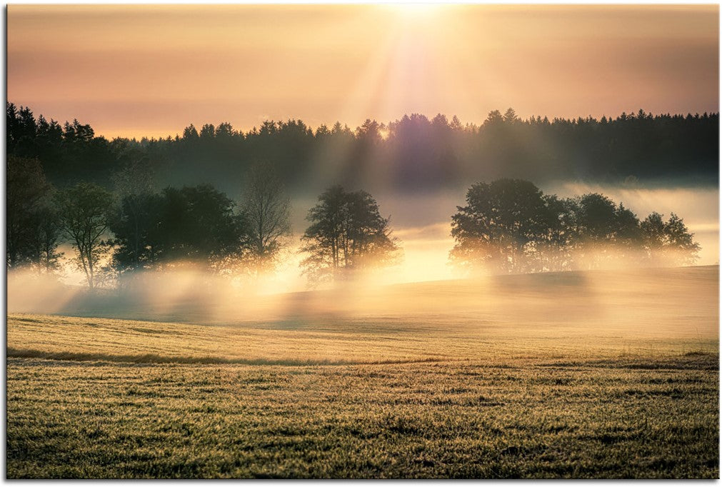 Morning Mist 1JP023