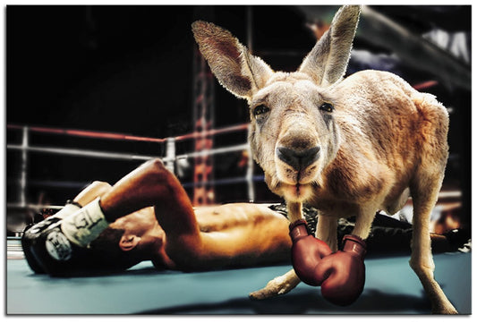 Kangaroo Boxer 1JP029