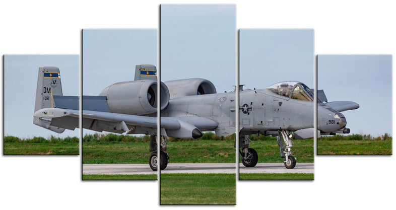 A-10 Warthog 1JP053