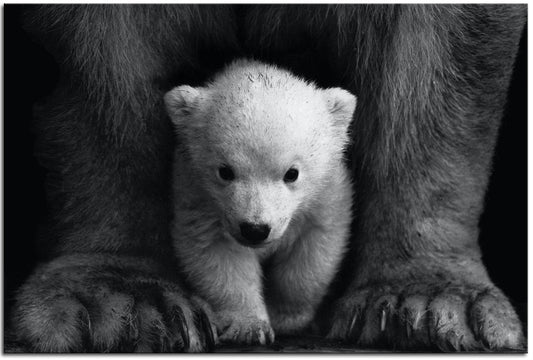 Polar Bear Cub & Mum 1JP075