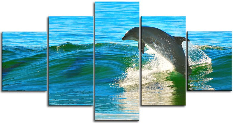 Dolphin playing in the Surf 1JPD125