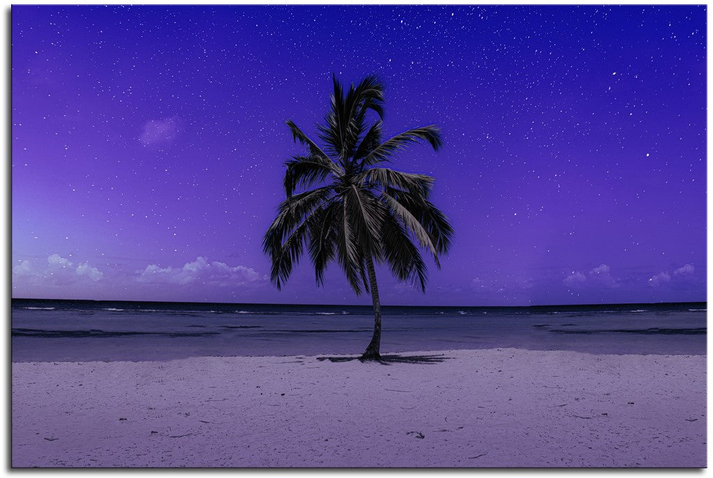 Palm Tree Paradise at Night 1JPD137