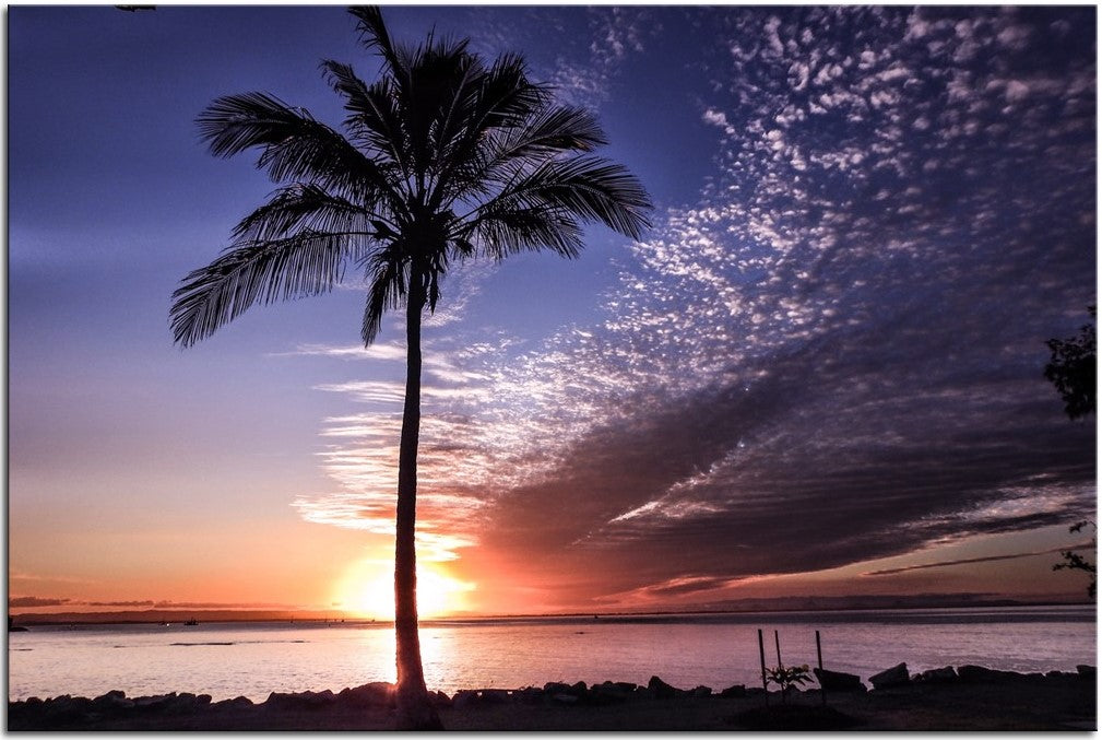 Palm Tree Sunset at Scarborough 1PCH011