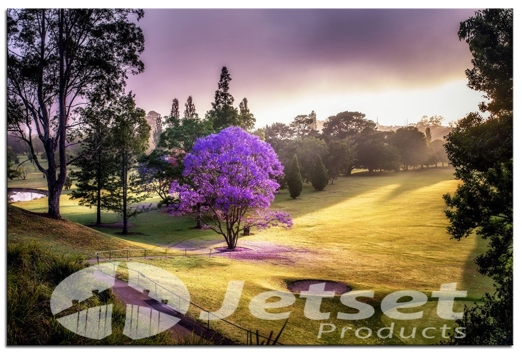 Nowra Golf Course in Morning Splendor 1PHM011