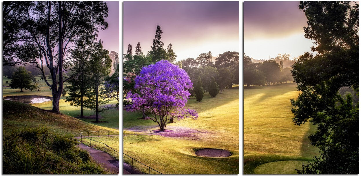 Nowra Golf Course in Morning Splendor 1PHM011