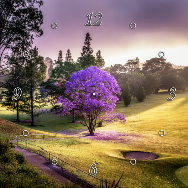 Nowra Golf Course in Morning Splendor 1PHM011