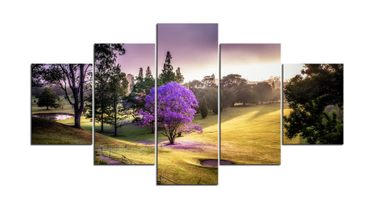 Nowra Golf Course in Morning Splendor 1PHM011