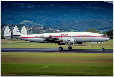 Hars Super Connie Gracing the Runway ,Pictures in Metallic Finish 1PHM034MP